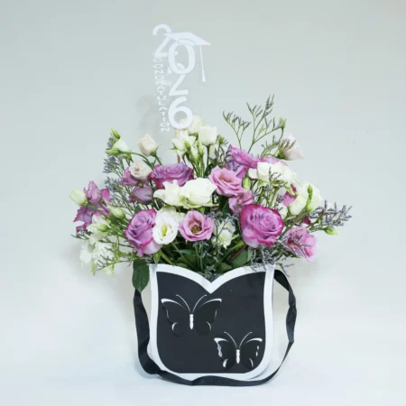 The Adventure Begins