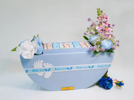 Newborn Boy Baby Gift 416